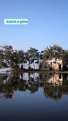 السياحة تستكمل حملتها للترويج لمحافظات مصر بفيديو جديد من كفر الشيخ