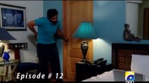 Jo Chale To Jaan Se Guzar Gaye  | EPISODE 12  ( Pakistani drama serial )