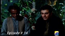 Jo Chale To Jaan Se Guzar Gaye  | EPISODE 14  ( Pakistani drama serial )