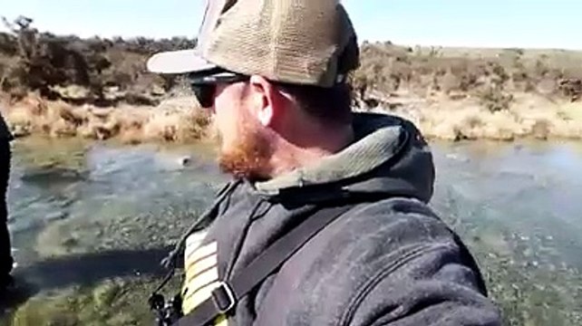 BIG TROUTS ON CLEARWATER STREAM