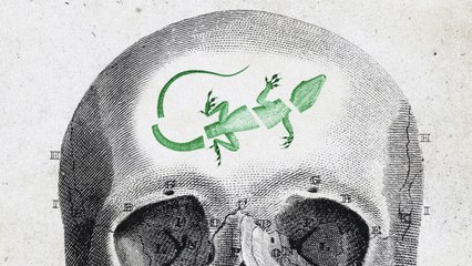 Your reptilian brain, explained | Robert Sapolsky