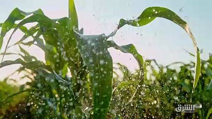 ...كثيرة مثيرة للجدل في الشارع العربي ال ال...