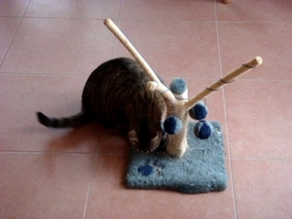 Le calme après le délire!