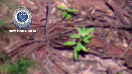 MELBOURNE - Avustralya'da kaybolan 3 yaşındaki engelli çocuk 4 gün sonra sağ olarak bulundu