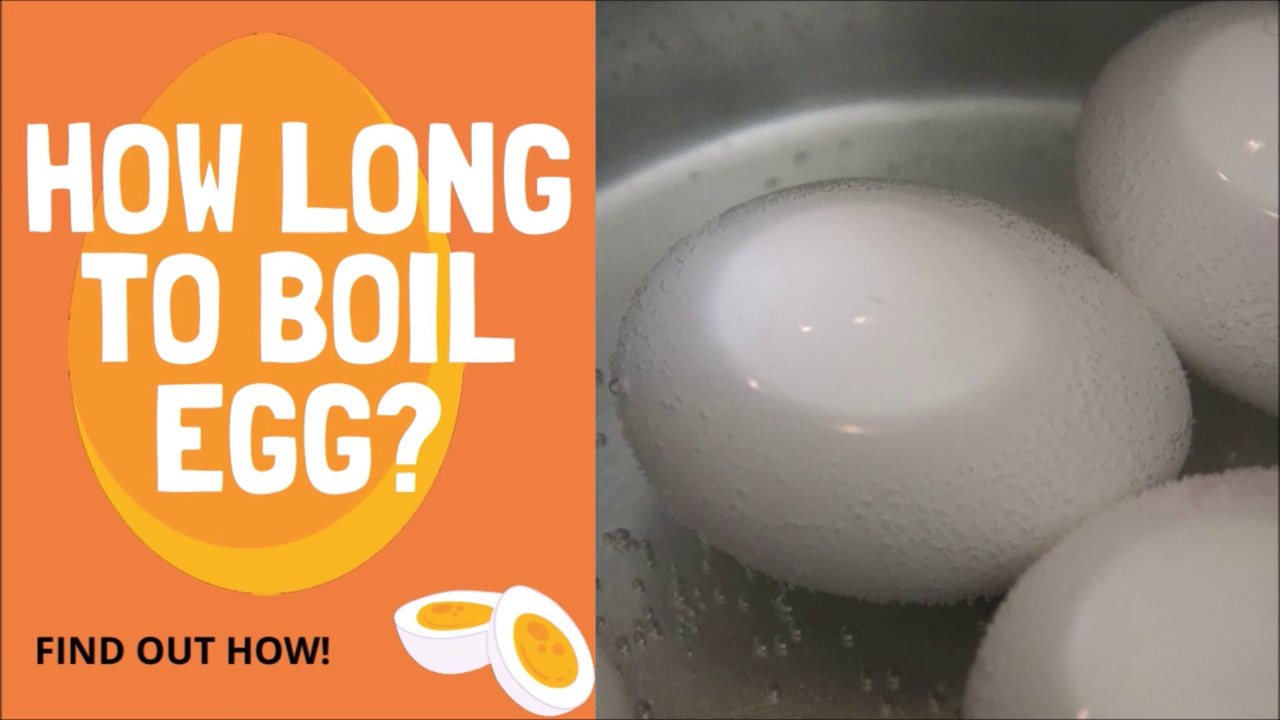 How To Boil Large Eggs? Vídeo Dailymotion