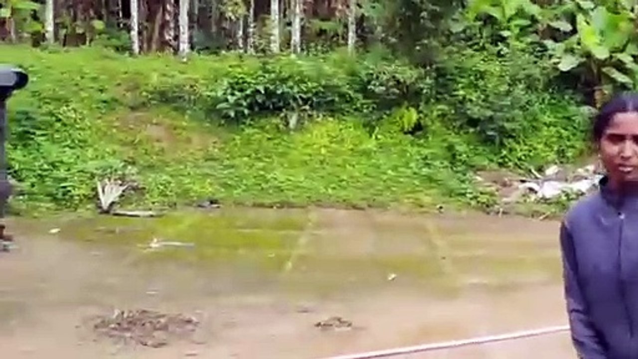 வீடு புகுந்த நாக பாம்பு.. 6 வயது சிறுமி செய்த பகீர் காரியம்.. பதறிய பெற்றோர்.. வைரல் வீடியோ