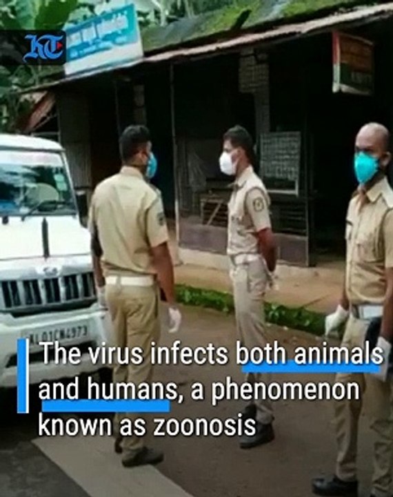 Nipah Virus