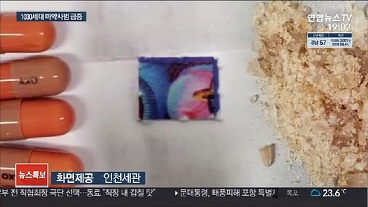 마약 밀수 20대 구속송치…청년 마약사범 증가