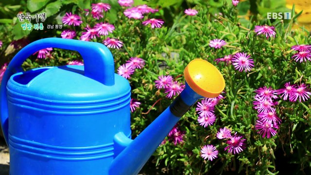 한국기행 - Korea travel_명랑 귀촌 1부- 우리가 추도로 온 까닭은_#002