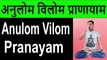 Anulom Vilom Pranayam अनुलोम विलोम प्राणायाम करने का सही तरीका Yoga for Anxiety & Stress