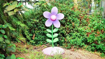 딩동댕유치원 - 배가 고프면 왜 꼬르륵 소리가 날까요?_#001