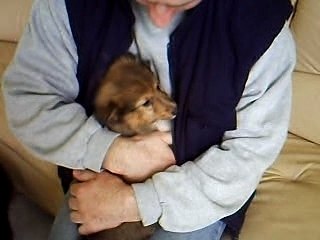 Video cookie2 mois (1)