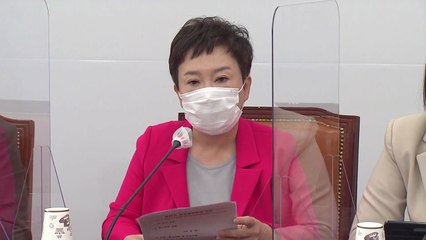 정미경 "내가 당시 지도부...국민의힘 내부 제보일 리 없어" / YTN