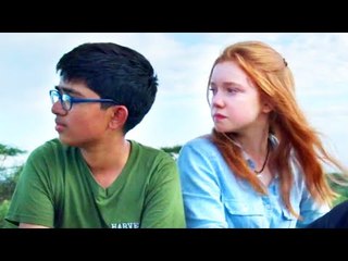 ANIMAL Bande Annonce (2021) Film Documentaire