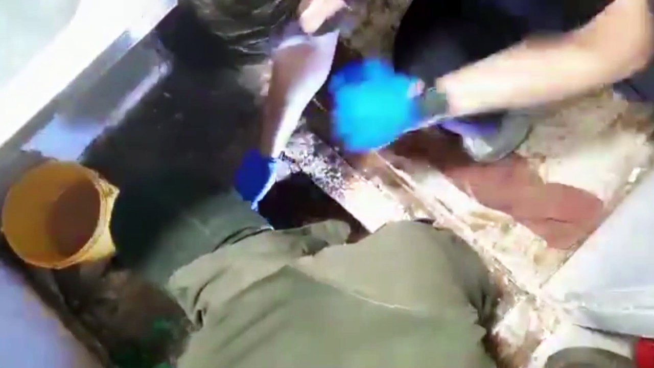 آخر ظهور للأسرى الفلسطينيين الـ6 قبل انتزاعهم حريتهم من سجن جلبوع (فيديو متداول)