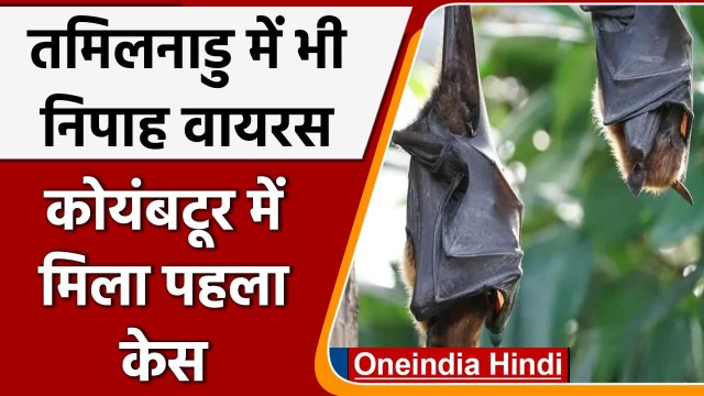 Nipah Virus: Tamilnadu में भी निपाह वायरस की दस्तक, Coimbatore में मिला पहला केस | वनइंडिया हिंदी