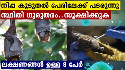 Nipah Virus: Samples of 8 'Symptomatic' Patients Sent to NIV Pune