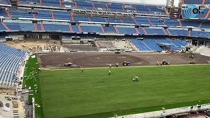 Los secretos del césped del nuevo Bernabéu