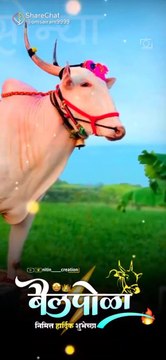 Hive the bull| Ganapati Bappa morya What's Status | Ganapati Status