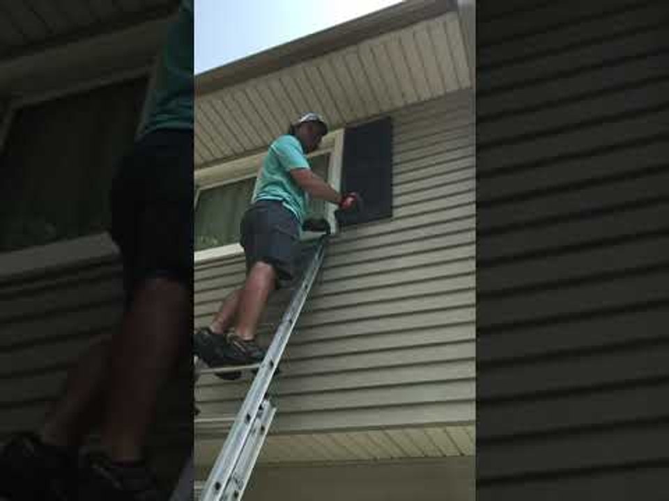 Bats Removed From Window Shutter Shelter