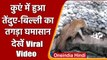 Maharashtra: Nashik में तेंदुए-बिल्ली के बीच कुएं में हुआ तगड़ा घमासान, Viral Video | वनइंडिया हिंदी