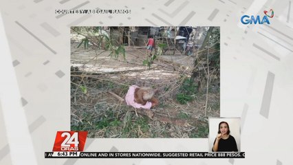 2 kaanak ng mga lalaking bumuhat sa isang lola, itinanggi ang paratang na pananakit | 24 Oras