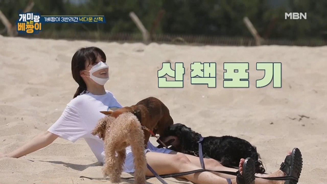 개판(?!)이네 ㅋㅋㅋ 민아 베짱이 넉다운시킨 반려견들♨♨