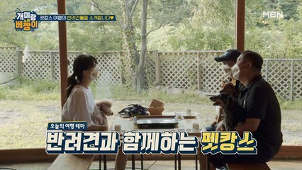 민아X웅종-찬종 함께 떠나는 펫캉스 여행! 반려견들을 소개합니다♥