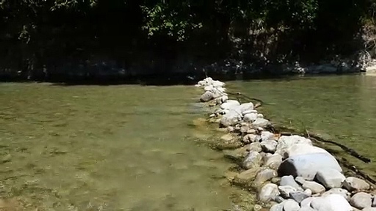 ruisseau et cigales