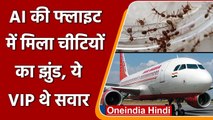 Ants In Air India: Air India की London जा रही उड़ान करना पड़ी रद्द, जानें क्यों | वनइंडिया हिंदी