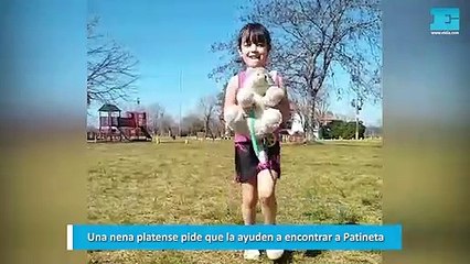 Una nena platense pide que la ayuden a encontrar a Patineta