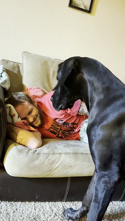 Snoring Technique Keeps Nosy Great Dane At Bay