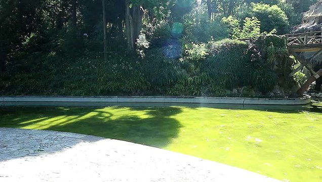 Walking around garden Castle , quinta do castelo - santa maria da feira