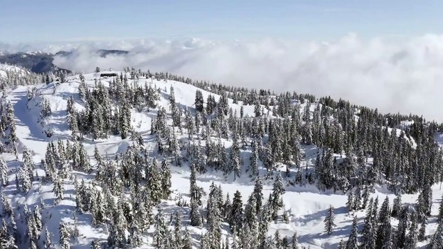 2 Minute Guitar Music- Instrumental Background Music Relaxing Guitar Music-Ambient Guitar Music (2)