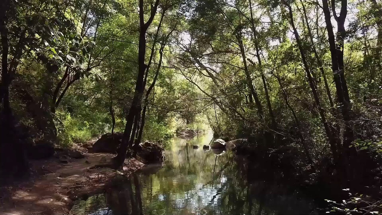 5 Minutes Piano Music- Instrumental Background Music   Relaxing Piano Music   Meditation Piano Music