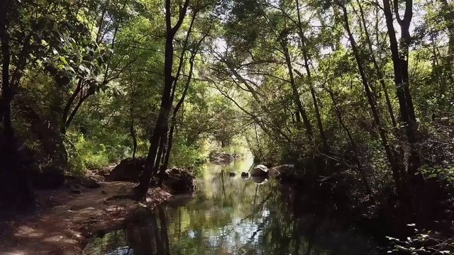 5 Minutes Piano Music- Instrumental Background Music Relaxing Piano Music Meditation Piano Music