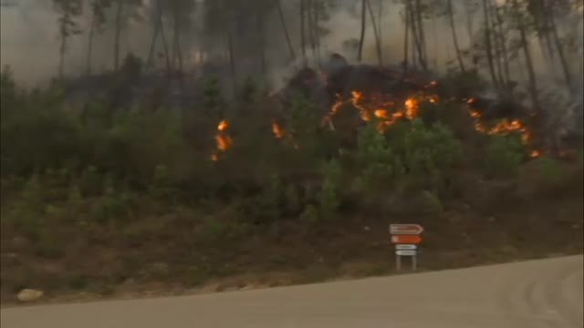 El incendio en Ribas de Sil se acerca peligrosamente a las zonas habitadas
