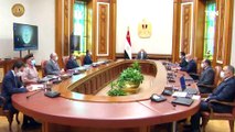 شاهد.. الرئيس يتابع تطورات المشروع القومي مستقبل مصر للإنتاج الزراعي وتحديث مراكز البحوث الزراعية