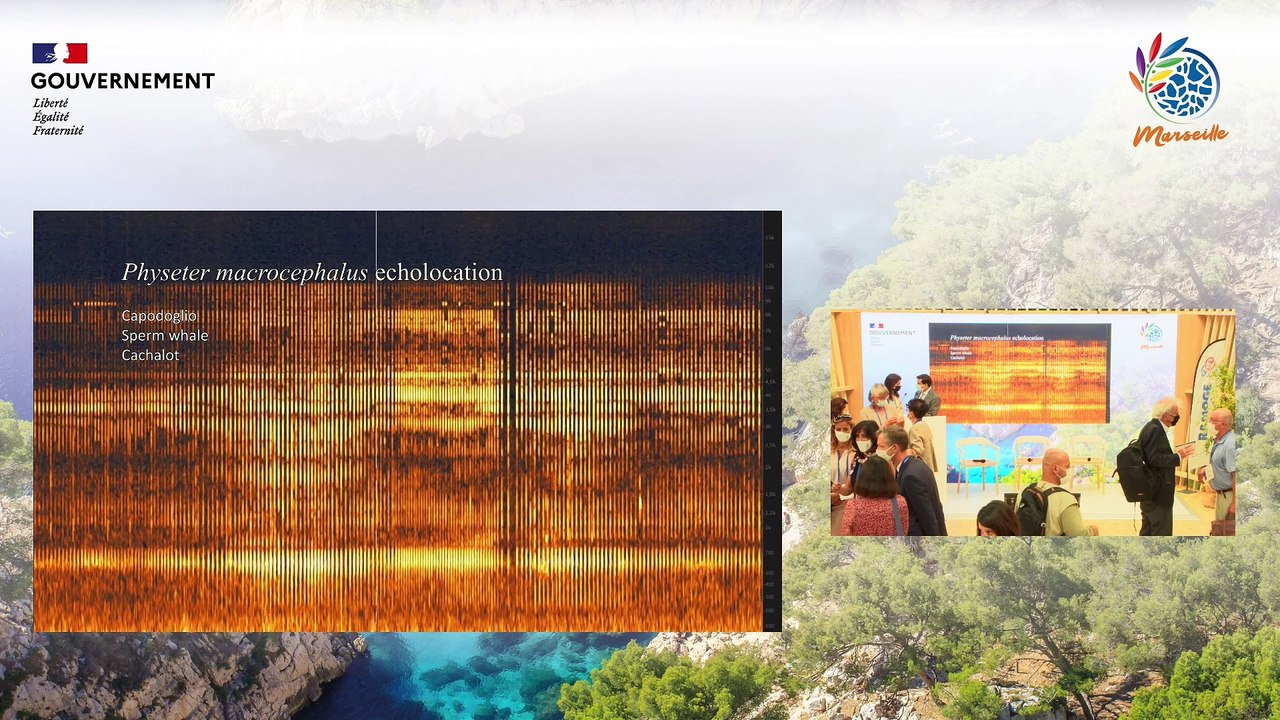 IUCN | Replay de l'Auditorium du Pavillon France - Dimanche 05/09 - 1ère partie de journée