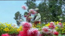 ये दिलवालों की बस्ती है,(Yeh Dilwalon Ki Basti Hai) , HD वीडियो सोंग , प्रीती उत्,HD,60fps