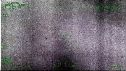 A10 warthog DHS UAP LEAK RAW.