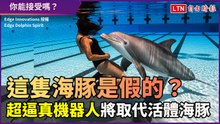 逼真機器人將引發海豚表演革命？運用先進科技讓生物回歸自然