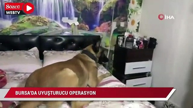 Şafak vakti drone destekli dev uyuşturucu operasyonu çok sayıda gözaltı