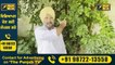ਮਨਦੀਪ ਮੰਨਾ ਵੱਲੋਂ ਵੱਡੀ ਸਾਜਿਸ਼ ਦਾ ਪਰਦਾਫਾਸ਼ Mandeep Singh Manna Exposed policies of CM | The Punjab TV