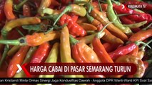Harga Cabai di Pasar Semarang Turun, Jumlah Pembeli Tak Naik