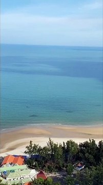 Clip: Vũng Tàu xuất hiện hàng loạt đàn cá lớn bơi ven bờ Bãi Sau