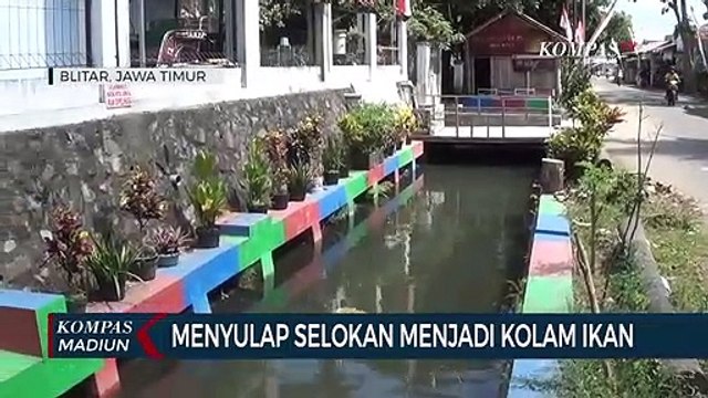 Menyulap Selokan Menjadi Kolam Ikan