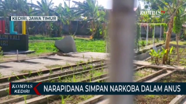 Selundupkan Narkoba Ke Dalam Lapas, Napi Sembunyikan Sabu Di Anus