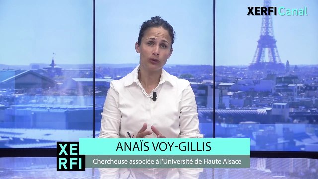La Chine et le défi écologique : une stratégie très offensive et contradictoire [Anaïs Voy-Gillis]