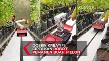 Kreatif! Dosen Udinus dan IPB Ciptakan Robot Pemetik Melon